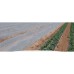 Агроволокно біле AGREEN Р-23 4,2*100