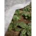 Агроволокно біле AGREEN Р-23 4,2*100